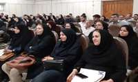 تشکیل کارگاه آموزشی نحوه ارزیابی کنترل صدا و استرس حرارتی در محیط کار