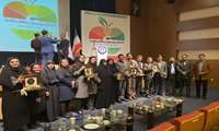 دریافت نشان زرین بهره وری دانشگاههای کلان منطقه 3 آمایشی کشور