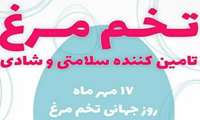 توصیه های تغذیه ای در خصوص تخم مرغ