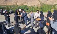 نشاط صبحگاهی با پیاده روی