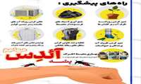 آشنایی با بیماری تب دنگی