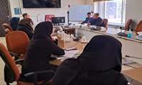 بهره مندی 1200 زن سرپرست خانوار تحت پوشش بهزیستی از خدمات بهداشتی  