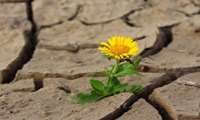 راهنمای جامع رفتار مسئولانه خانواده‌ها در روزهای تنش، حمله و بحران جنگی
