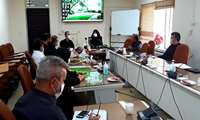 نشست هماهنگی کمیته بهداشت و درمان ستاد اربعین حسینی