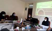احصاء آمادگی جهت اجرای طرح شهید سلیمانی در شهرستان همدان
